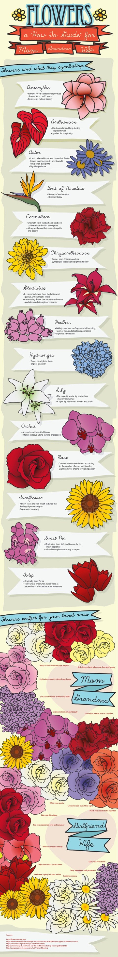 choosing the right flower for the right occasion #infographic