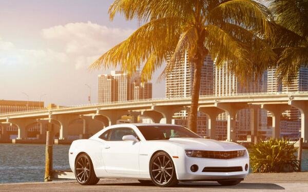 #chevrolet #camaro #american #white