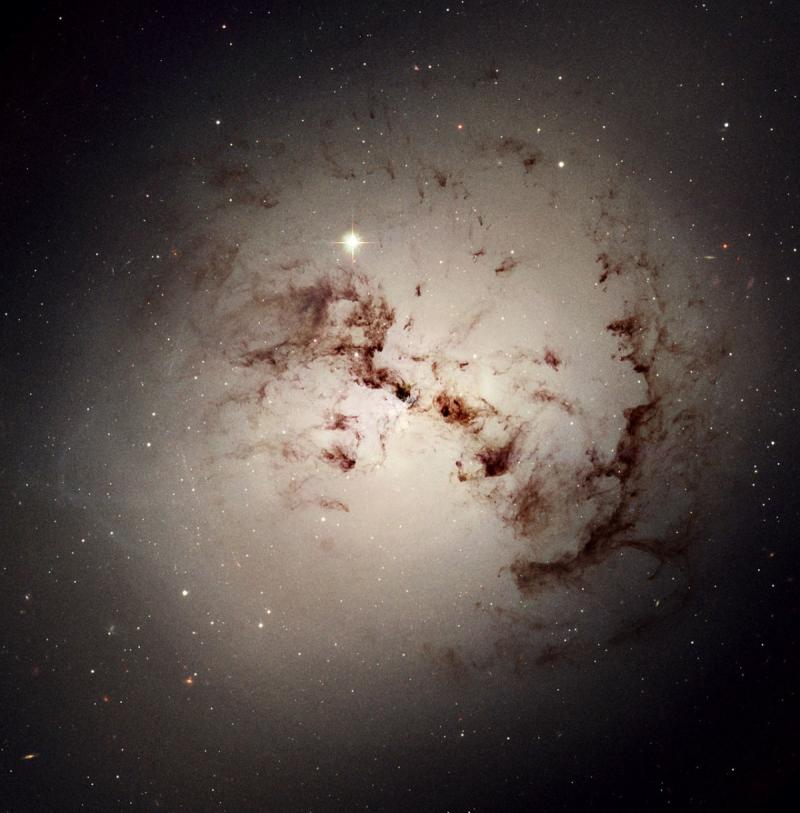 Hubble Spies Cosmic Dust Bunnies - space