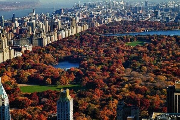 Autumn in New York City