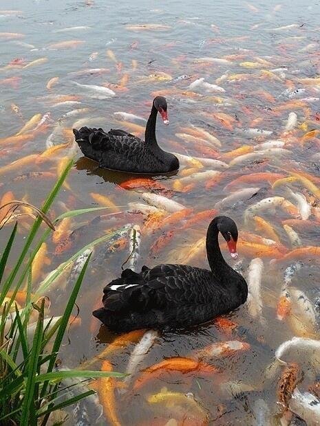 Nature is beautiful and mysterious.