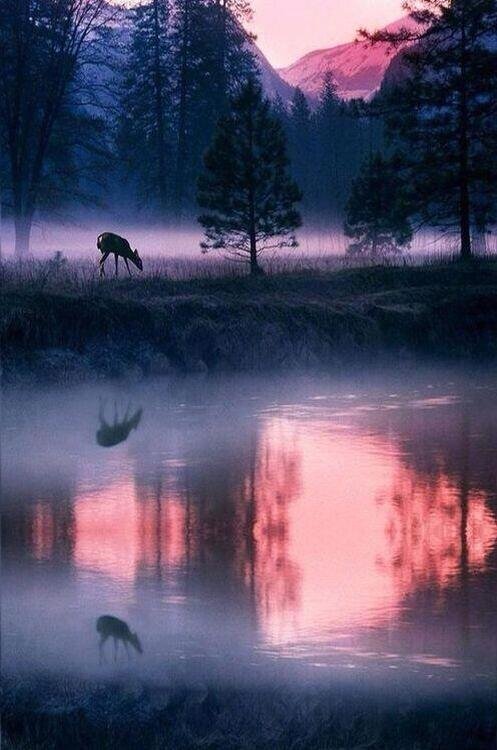 Yosemite National Park