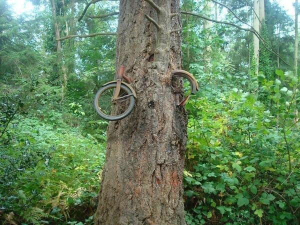 In 1914, a boy chained his bike to a tree to fight in the war.