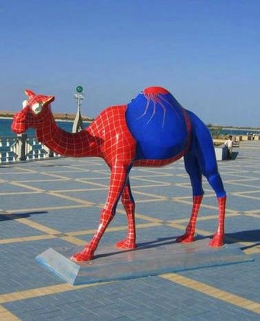 bat camel