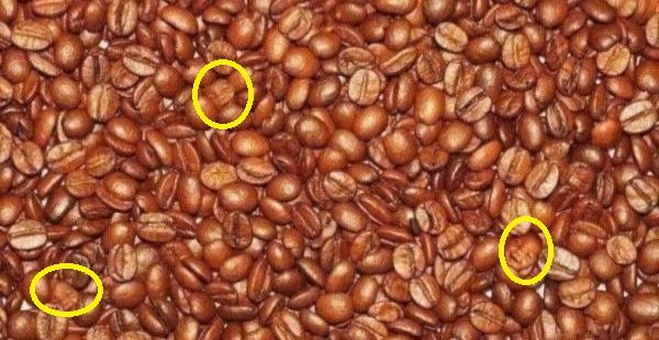 حل لغز الصورة السابقة - في 3 وجوه أطفال في الصورة، بتقدر تلاقيها؟ #لغز