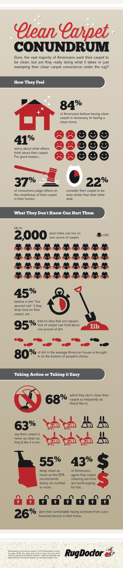 Clean carpet conundrum #infographic