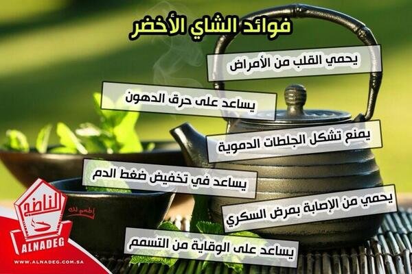 لماذا يعتبر الصينيون #الشاي_الأخضر أهم من معظم الأطعمة