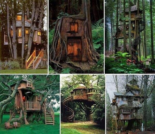 Beautiful Tree Houses