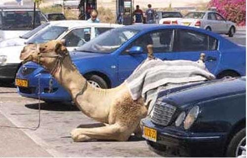 just in #KSA
