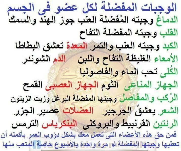 الوجبات المفضلة لكل عضو في جسم الانسان