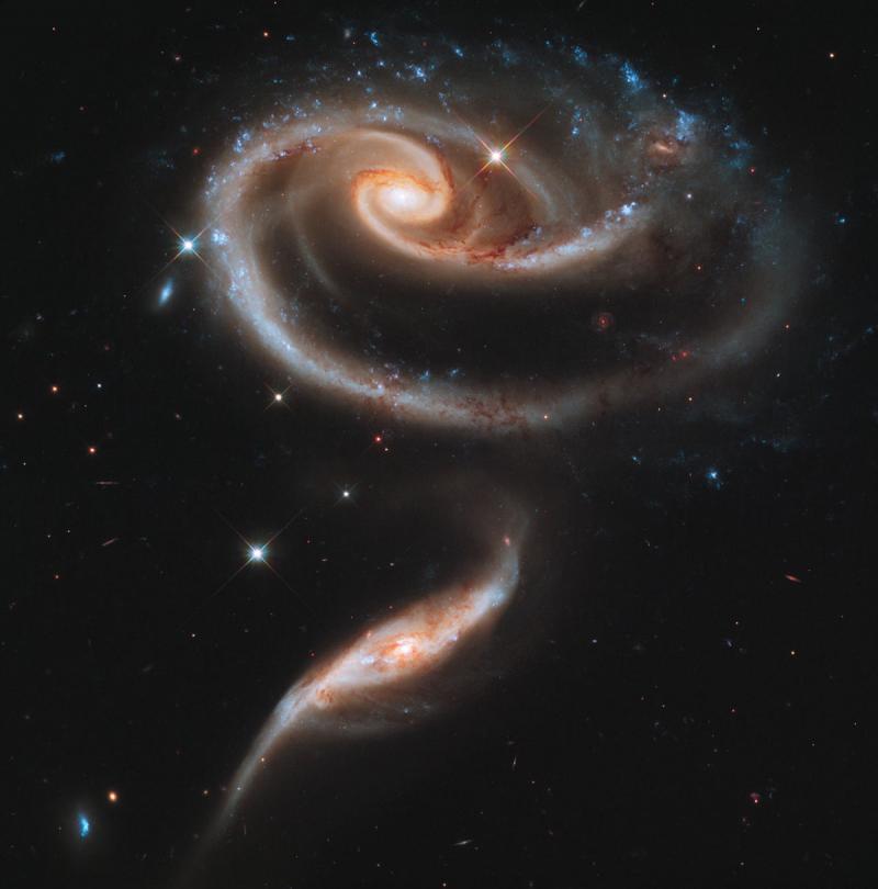 A rose made of galaxies - space