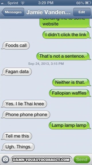  Funniest 'Damn You Auto Correct' 2013 - 9