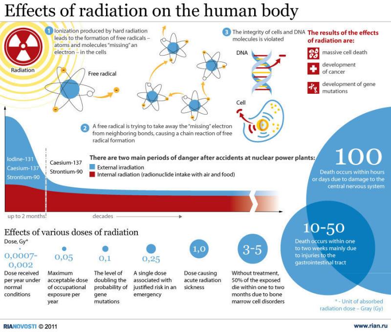 Effects of radiation on the human body #infographic
