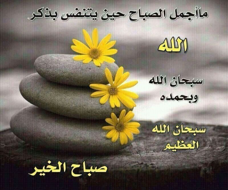 #صباح_الخير ما أجمل الصباح حين يتنفس بذكر الله