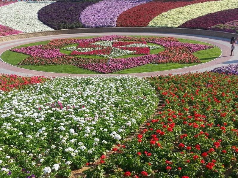 الحديقة المعجزة miracle_garden# #دبي 2
