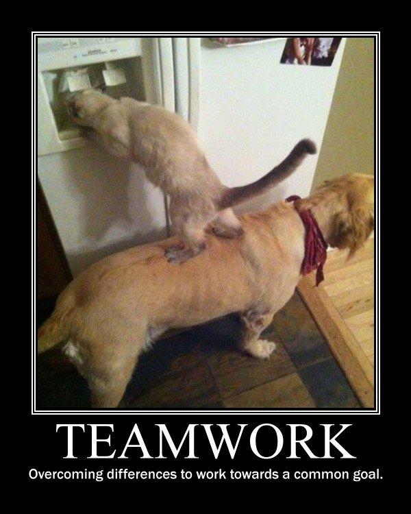 Team Work 