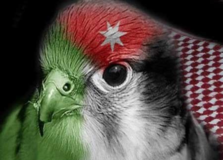 علم الأردن صقر