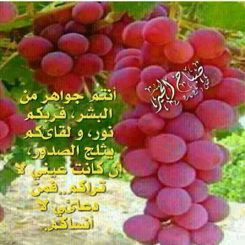 احلى صباح