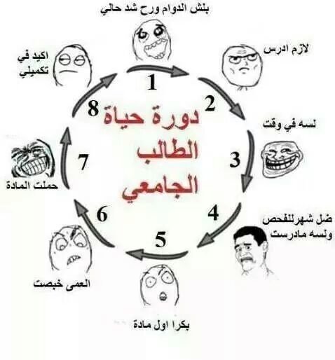 دورة حياة الطالب الجامعي
