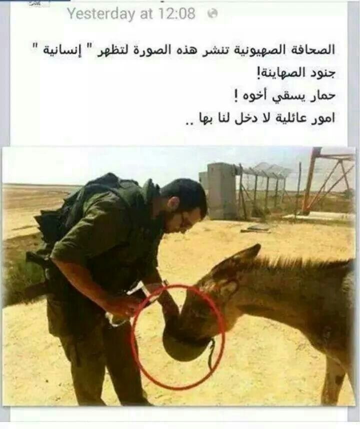 أمور عائلية #انسحاب_إسرائيل_من_غزة