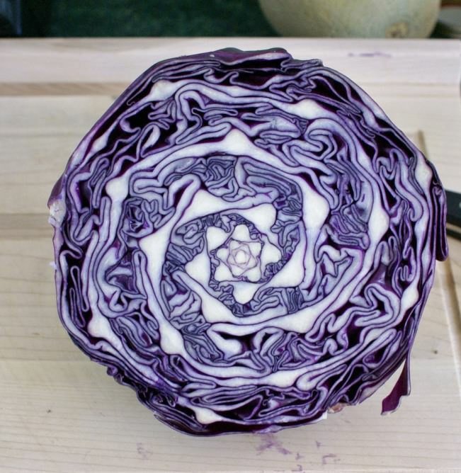 for the people thinking of the golden ratio as bullshit, just ask the lettuce