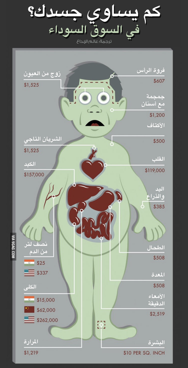 كم يساوي جسدك في السوق السوداء؟ #انفوجرافيك #صحة