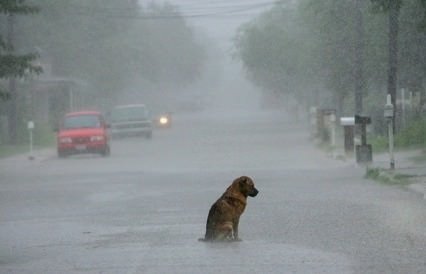 #صورة باختصار محزنة