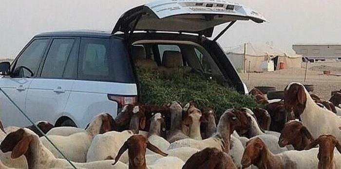 ما موقف مصمم الRange Rover بعد هاي الصورة