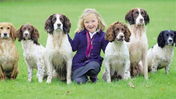 مدربة لكلاب الصيد وعمرها لا يتجاوز الـ 4 سنوات #animals #dogs 