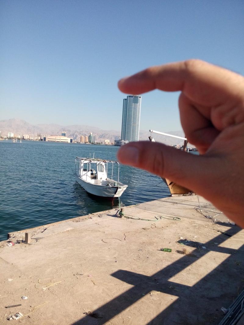 وحش التصوير وزقط الدار بأسلوب القداحة