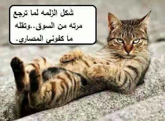 شكل الزمه لما ترجع مرتو من السوق هههههههه