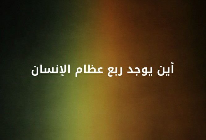 اين يوجد ربع عظام الانسان ؟؟ #لغز