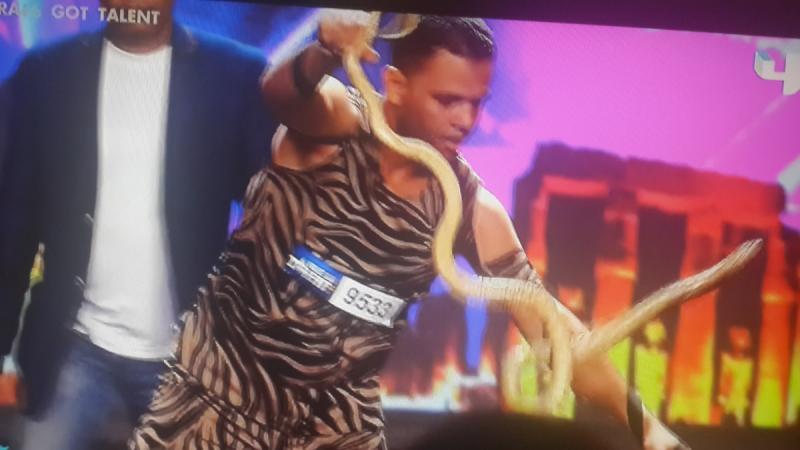 عرض الكوبرا الخطير علی مسرح #ArabsGotTalent