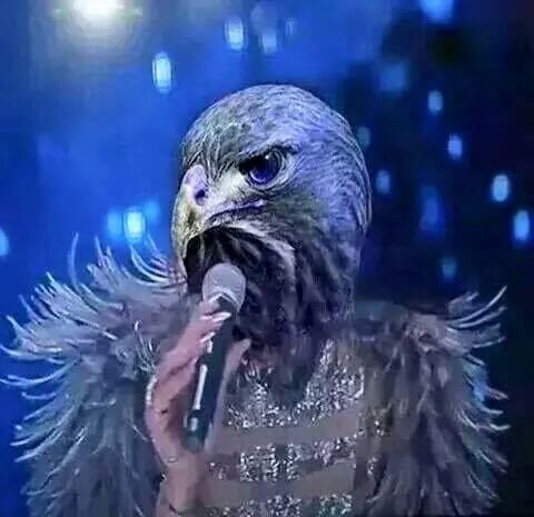 مفاجأة #arabidol في الحلقة ما قبل الأخيرة عضو جديد في لجنة التحكيم