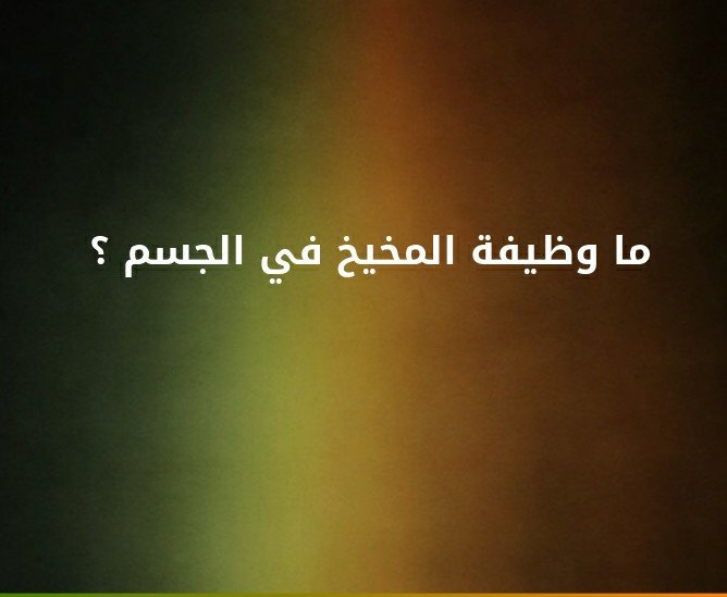 ما وظيفة المخيخ في الجسم ؟#لغز