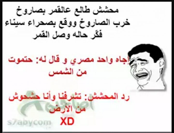 نكت محششين #نكت