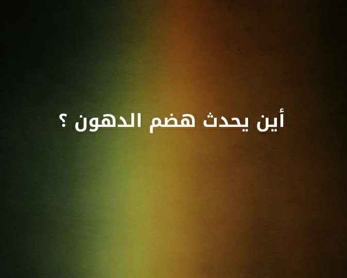 اين يحدث هضم الدهون ؟؟ #لغز