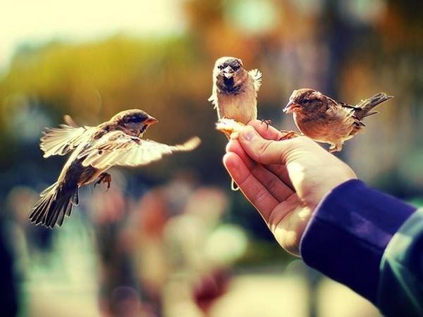 يارب فرحه تجَدد شعُور الحَياة فينا 