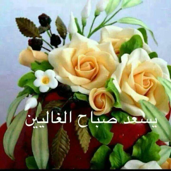 يسعد صباح الغاليين 