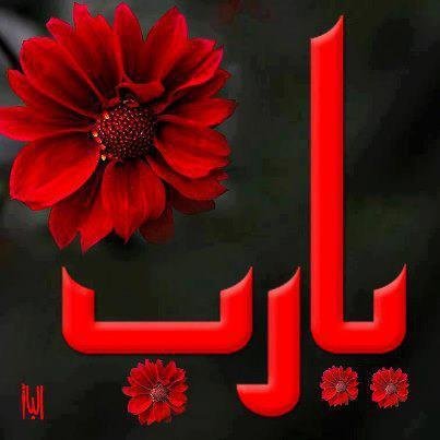 إذا تألمت لألم إنسان فأنت نبيل ، أما إذا شاركت في علاجه فأنت عظيم عندما كنا صغار : نتصنع ( البكاء) كي لا (ننام) ! والآن : نتصنع (النوم) كي لايعلم أحد بأننا ( نبكي) كثير من الحقيقة وراء كلمة (كنت ام