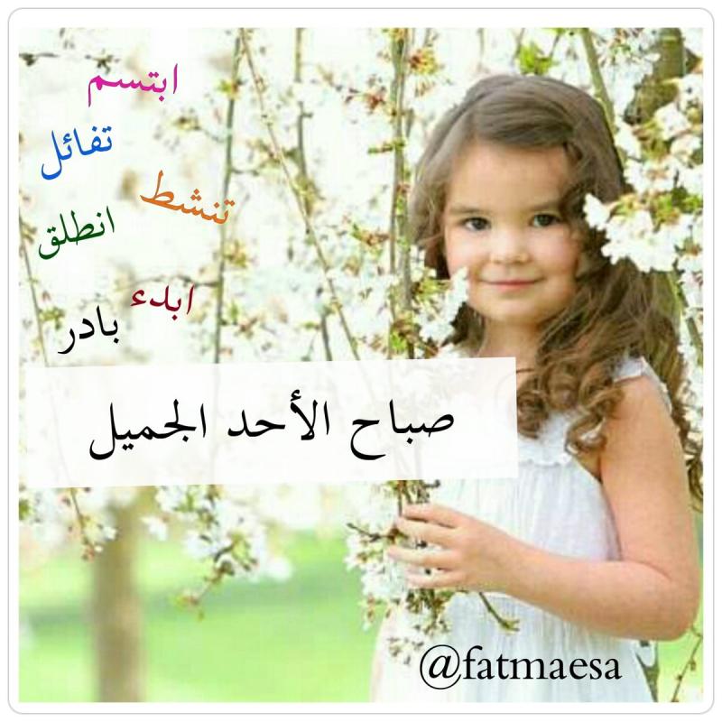 صباح الاحد