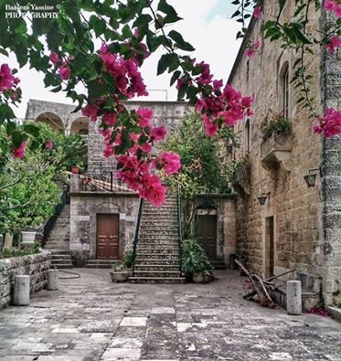 من دير القمر #لبنان