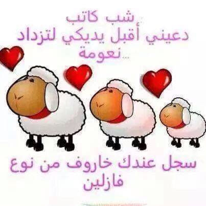 شب كاتب دعيني أقبل يديكي لتزداد نعومة سجل عندك خاروف من نوع فازلين #نهفات