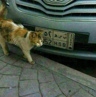 هذا المعنى الحقيقي للصدف هههههههههههههه