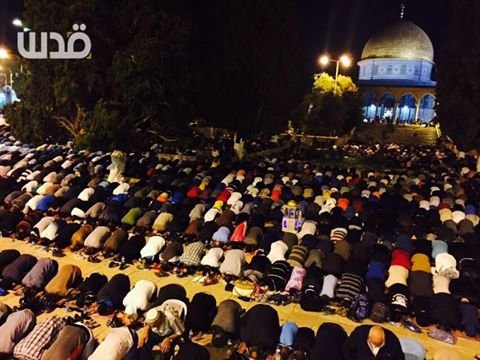 #صور‬ جانب من صلاة ‫#التراويح‬ في المسجد ‫#الأقصى‬ قبل قليل