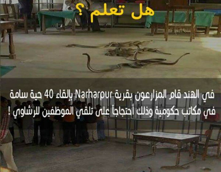 #هل_تعلم ماذا فعل المزارعون في قرية نارهابور