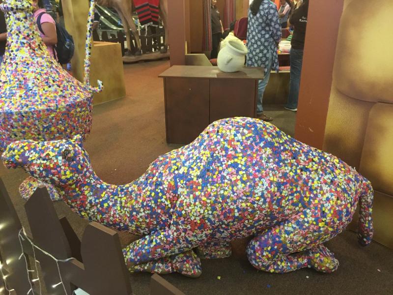 Camel Design