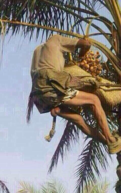 صورة لدقيقي الملاحظة 