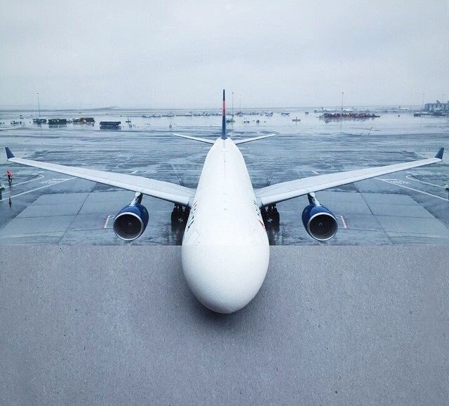 مصور يجمع صورتين ليكون فكرة رائعة #غرد_بصورة -صورة 16
