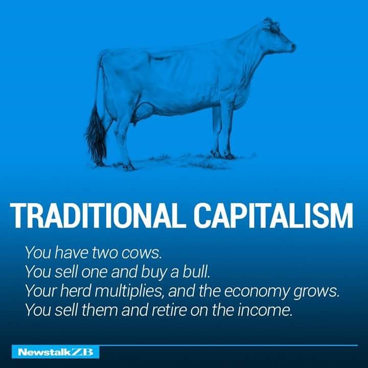 Traditional Capitalism Defined